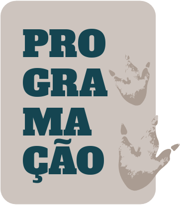 programação